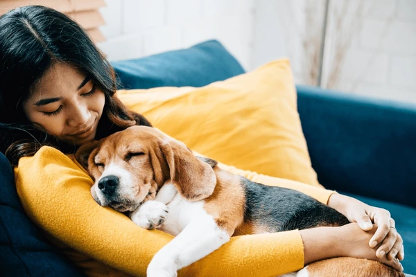 🐾 Top 10 Tips for First-Time Pet Owners
